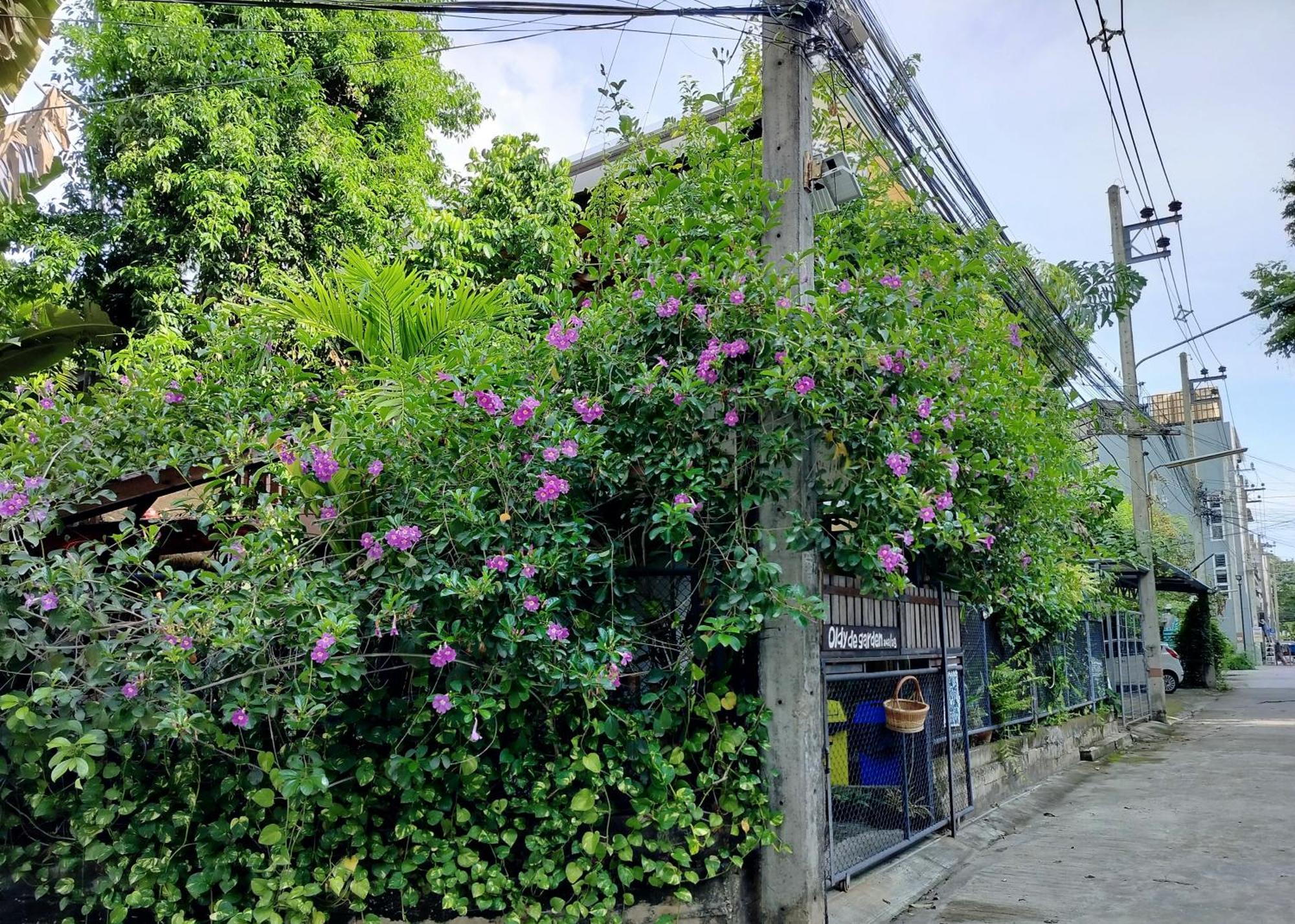 Aparthotel Oldy De Garden Chiang Mai Exterior foto